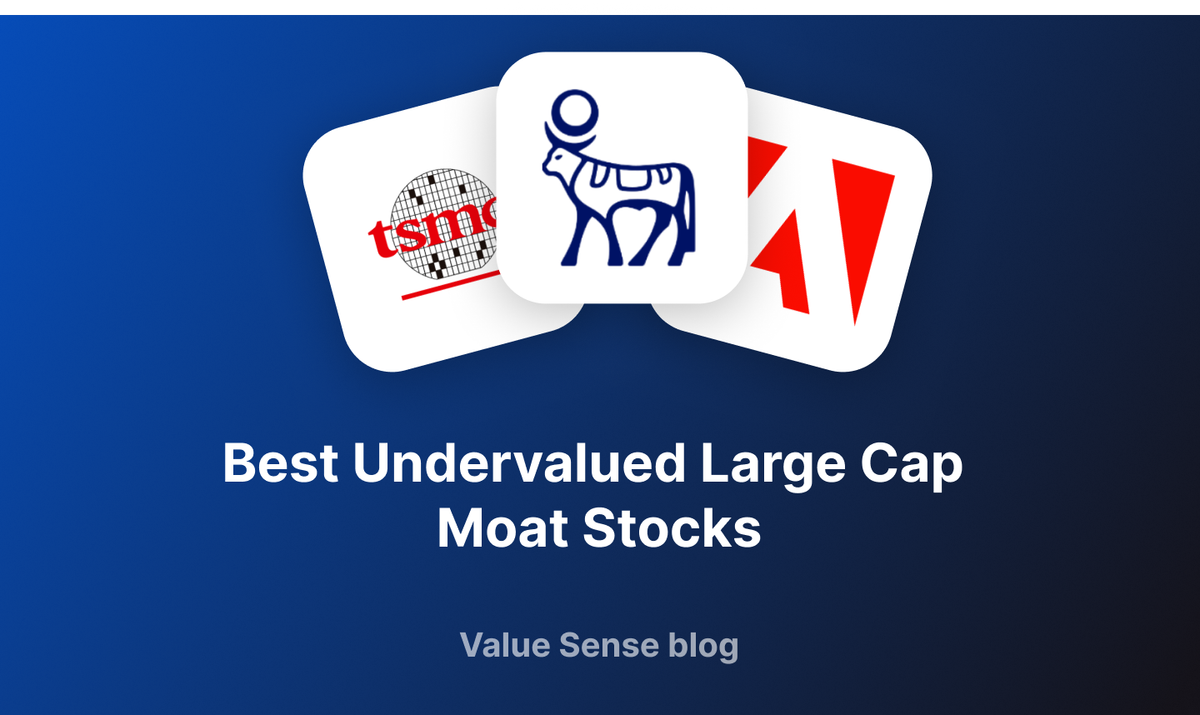 11 Best Undervalued Large Cap Moat Stocks for 2025