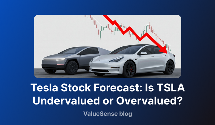 Is TSLA Undervalued or Overvalued?