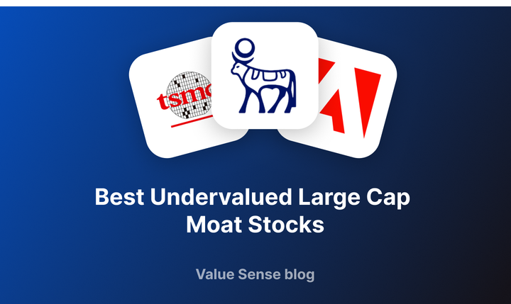 11 Best Undervalued Large Cap Moat Stocks for 2025