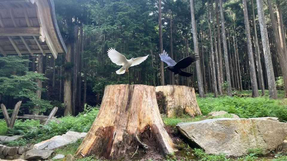 【8月17日】花背三輪神社の参拝リトリート