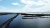 The Island That Left: What Happened at Isle de Jean Charles, and Why It Matters