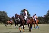 Autumn Polo Classic Brings Hats, Horses and a St. Jude Fundraiser to Folsom