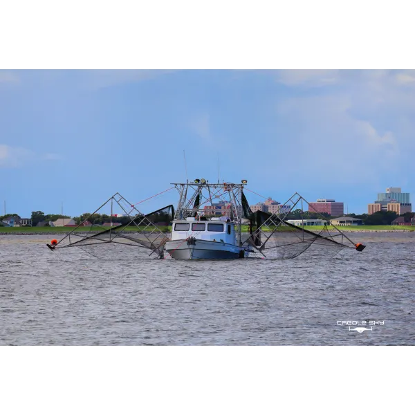 Louisiana Shrimpers Ask Trump to Curb Imports. NOAA's Own Data Shows a Deeper Problem.