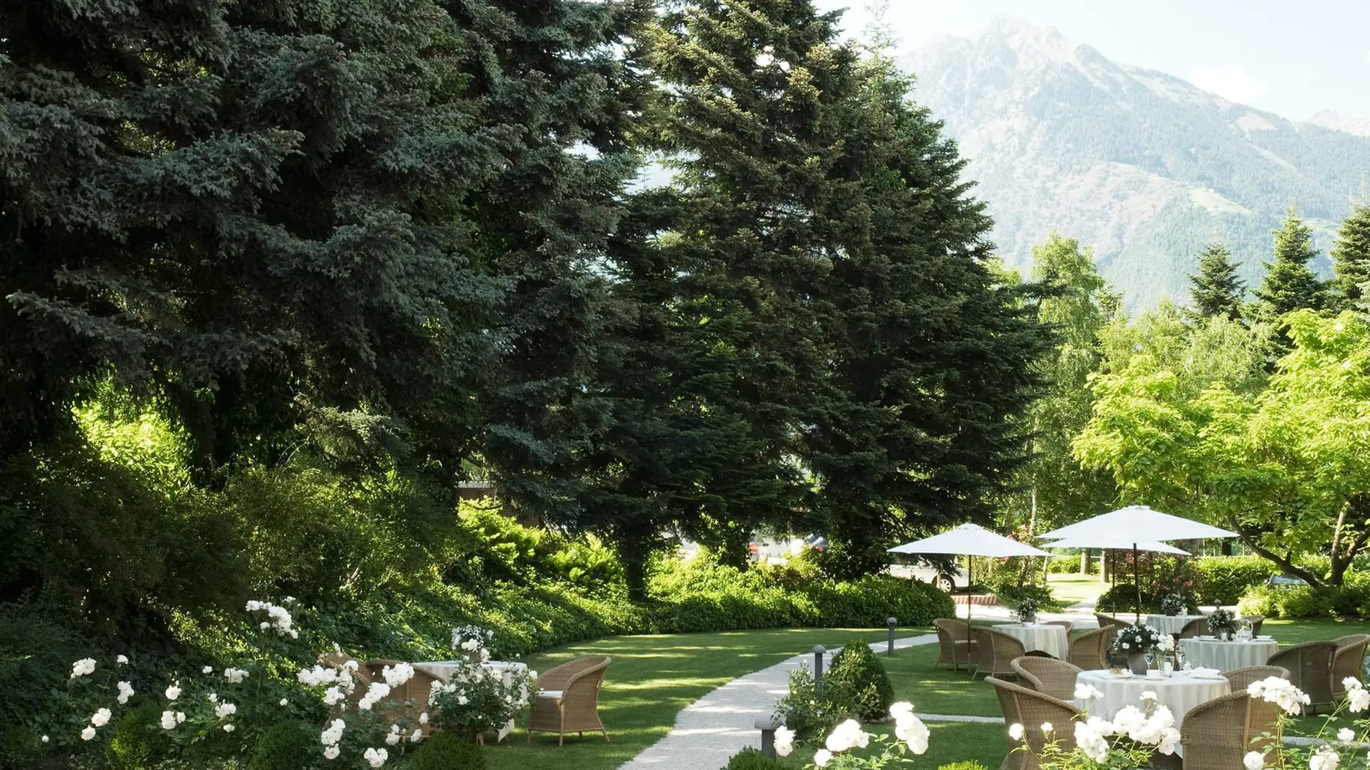 A hotel garden under the mountains