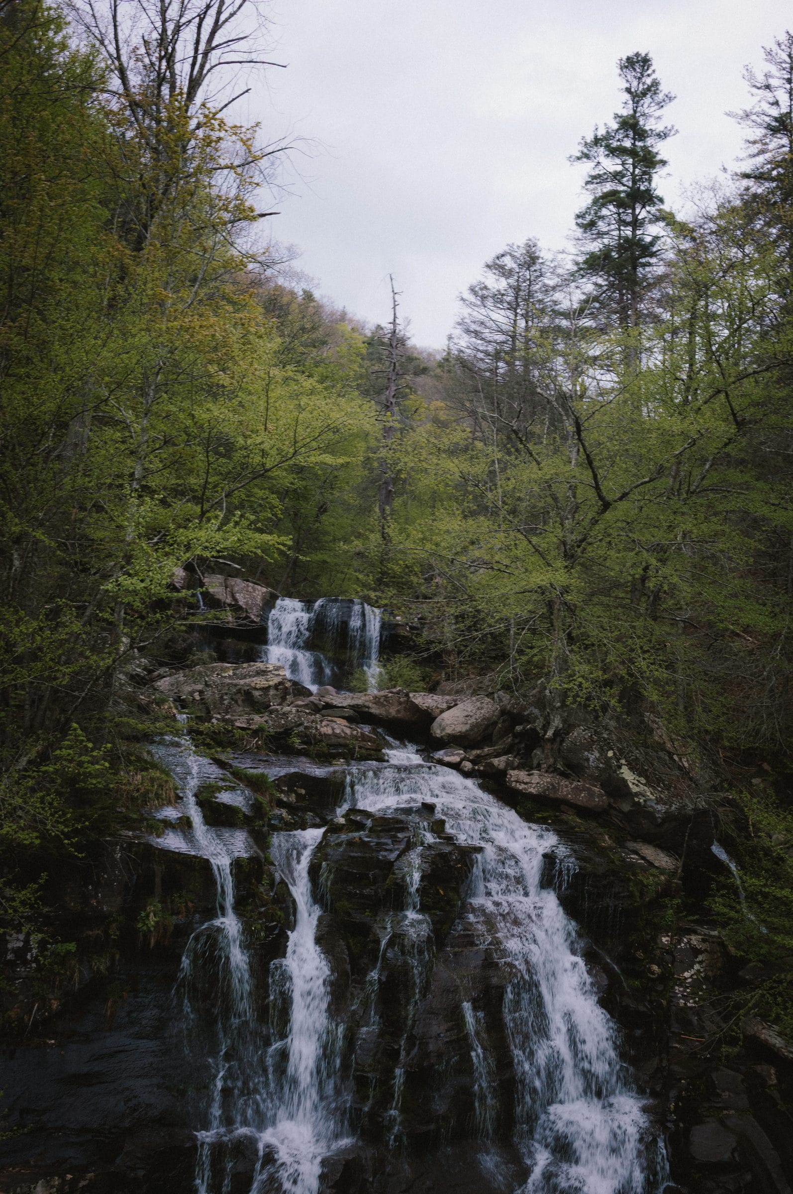 A waterfall in the woods
