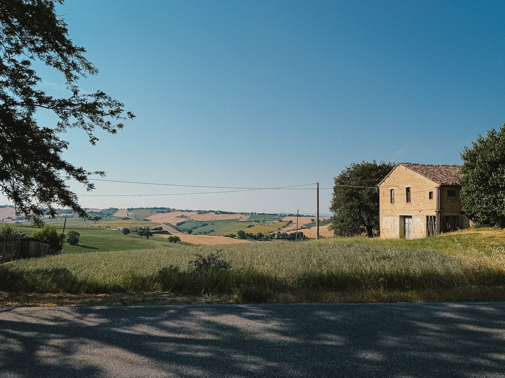 A farmhouse beside the road