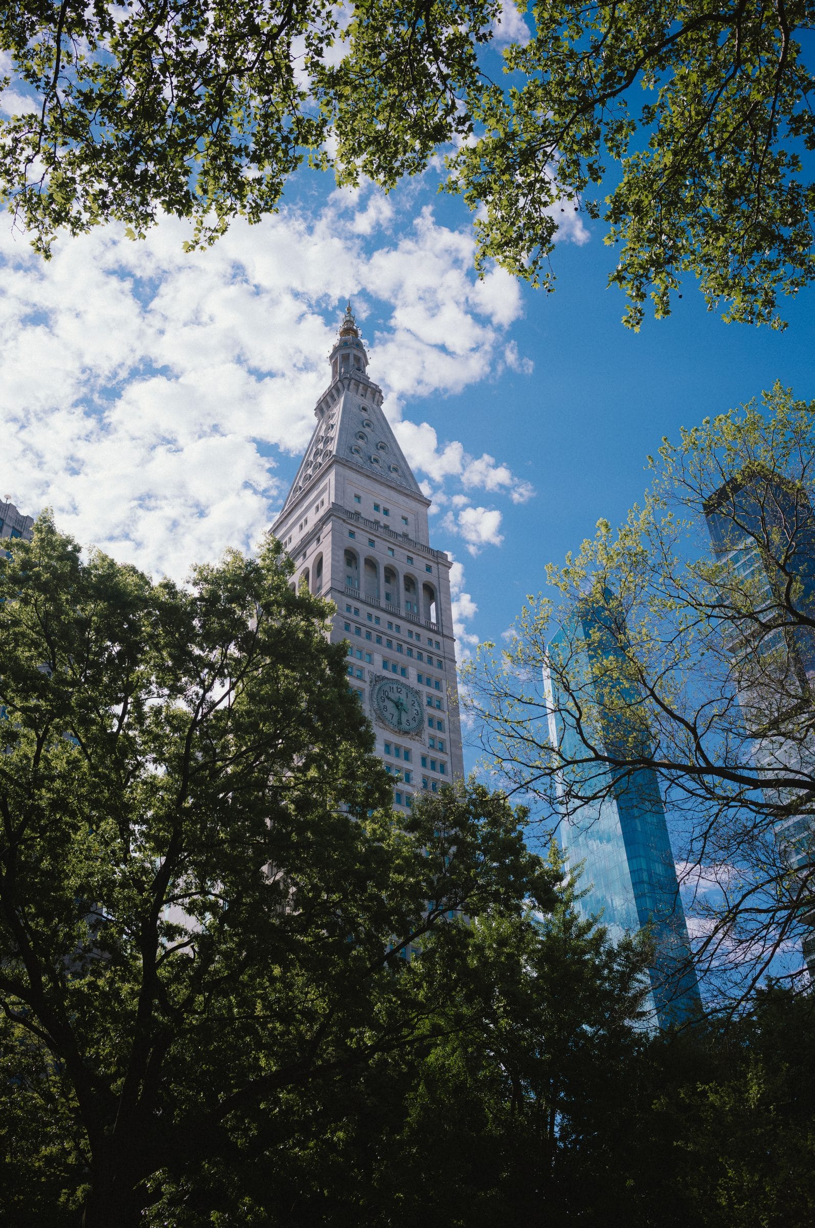 The Metropolitan Life tower through trees