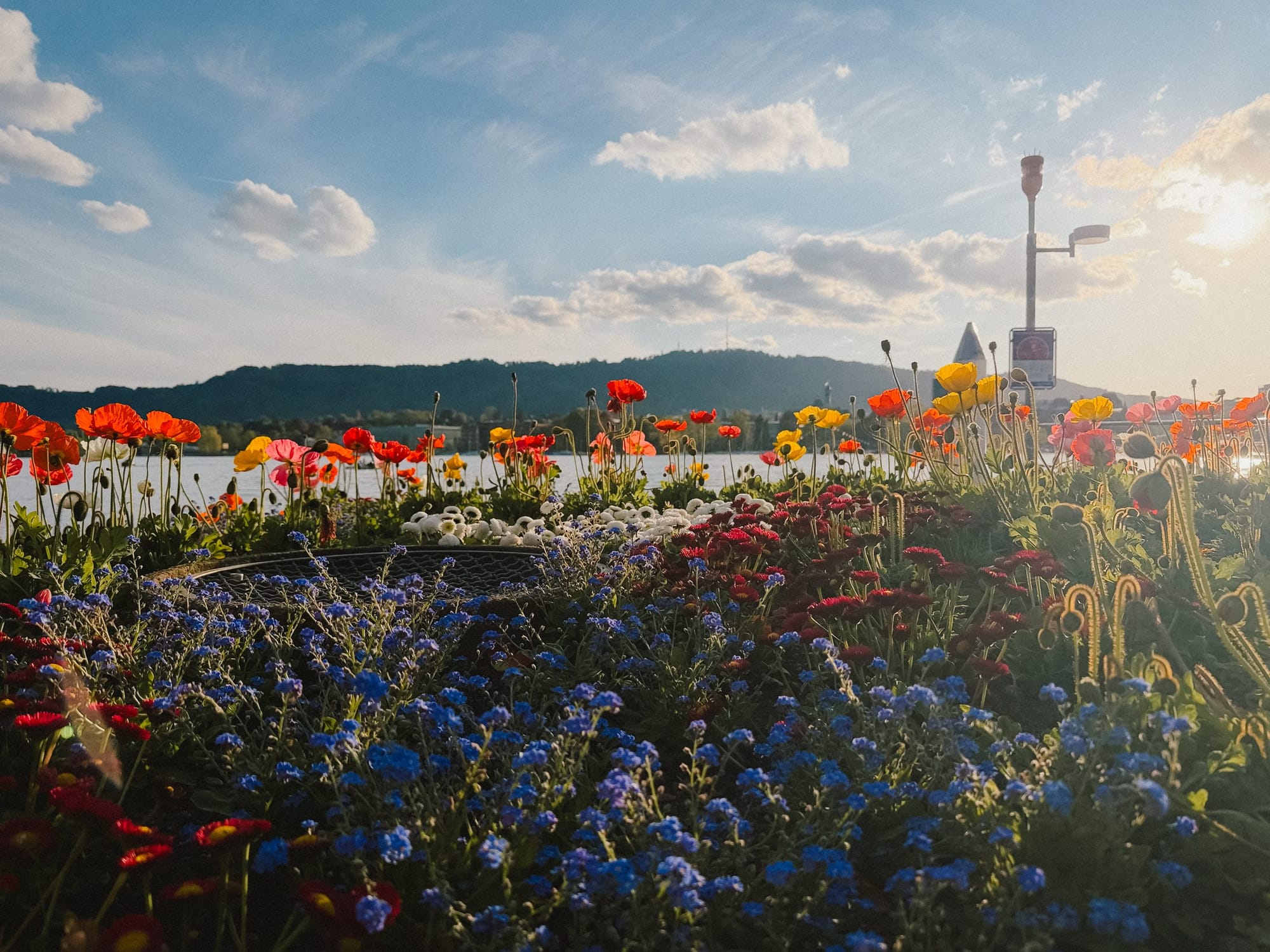 Flowerbeds along the lake