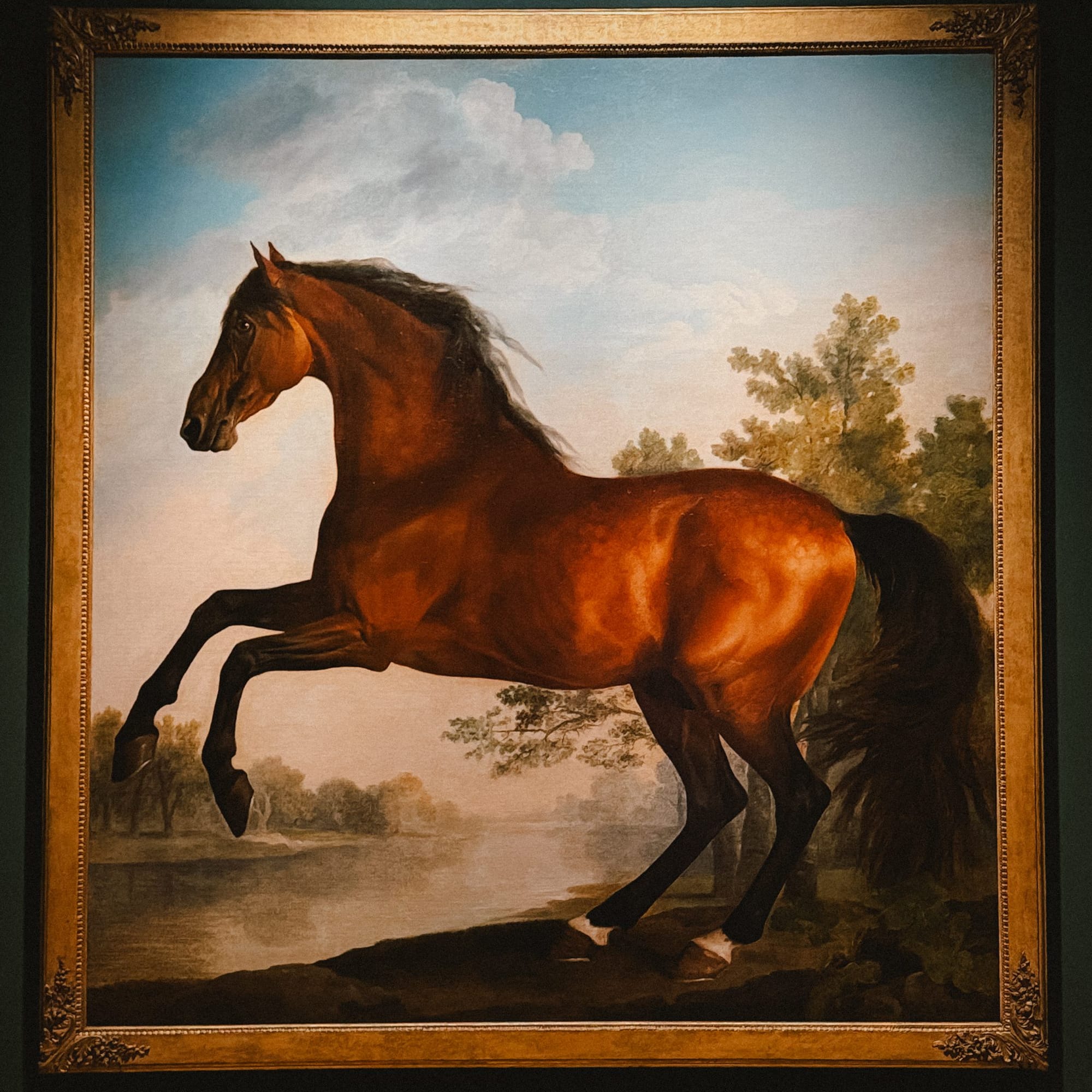 Whistlejacket