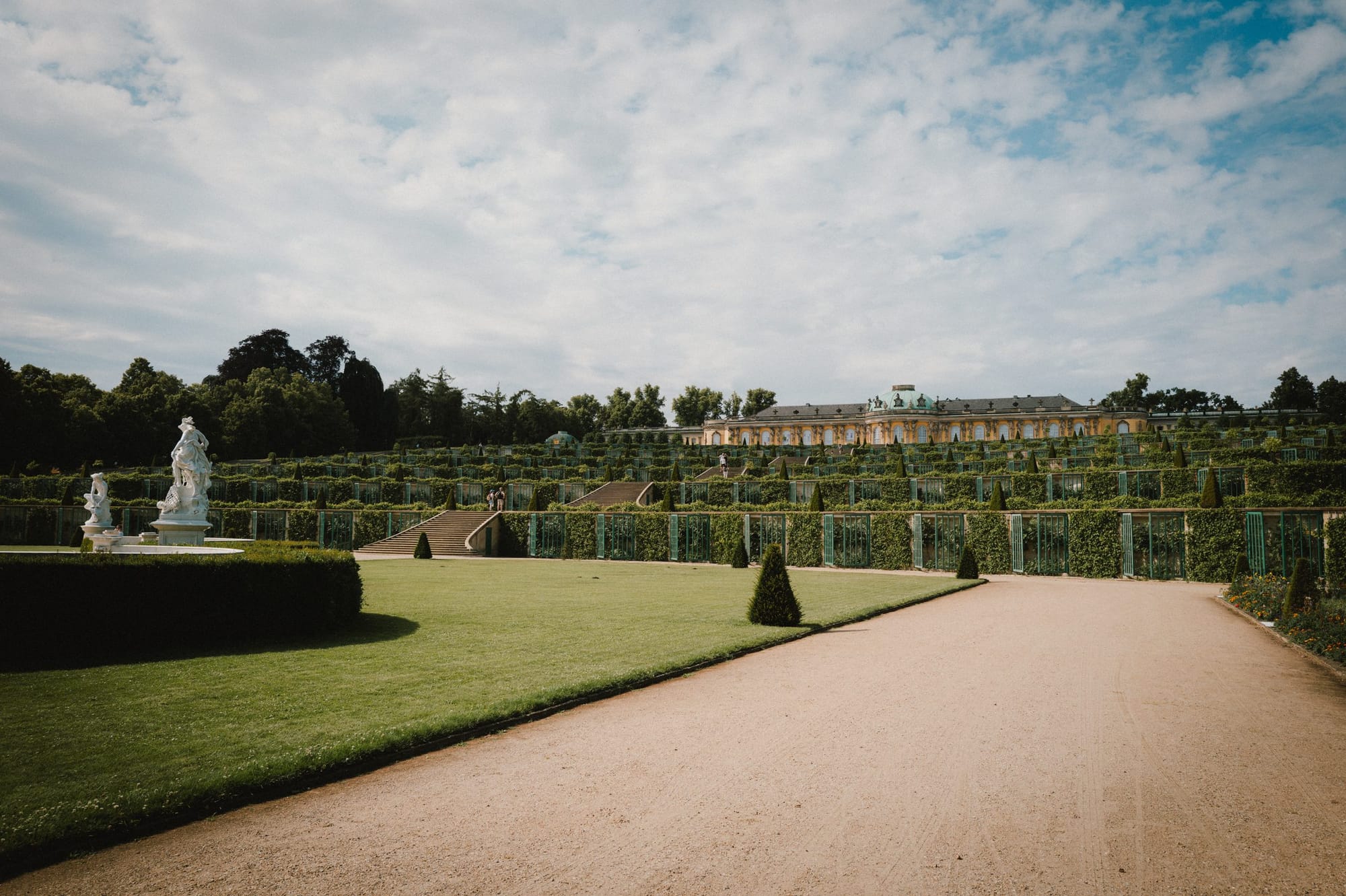 The terraced vineyard of Sanssouci