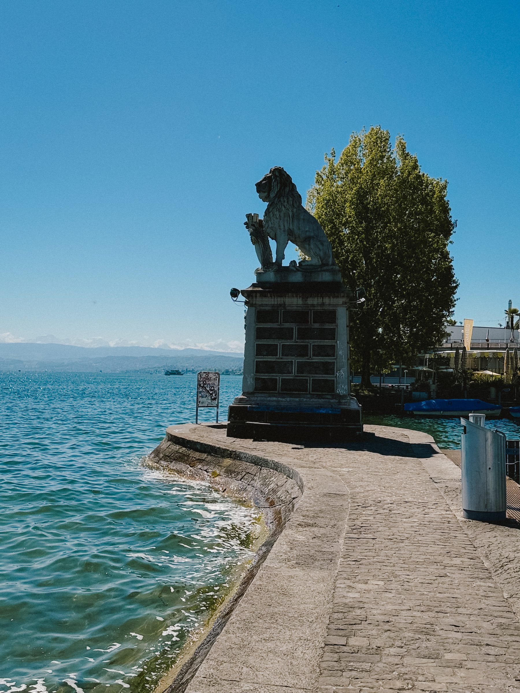 The lion of the harbour