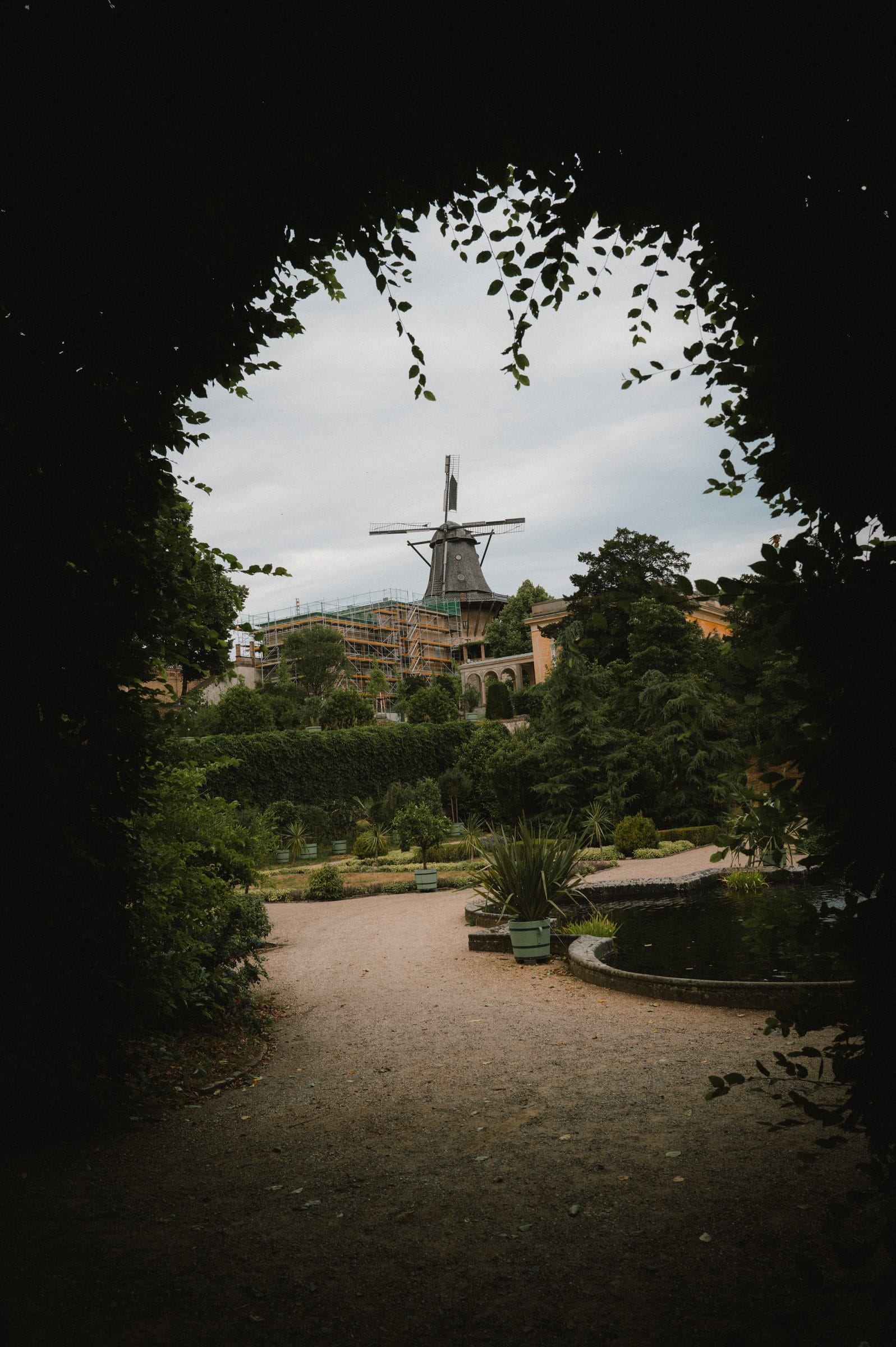 A windmill through an arch of leaves