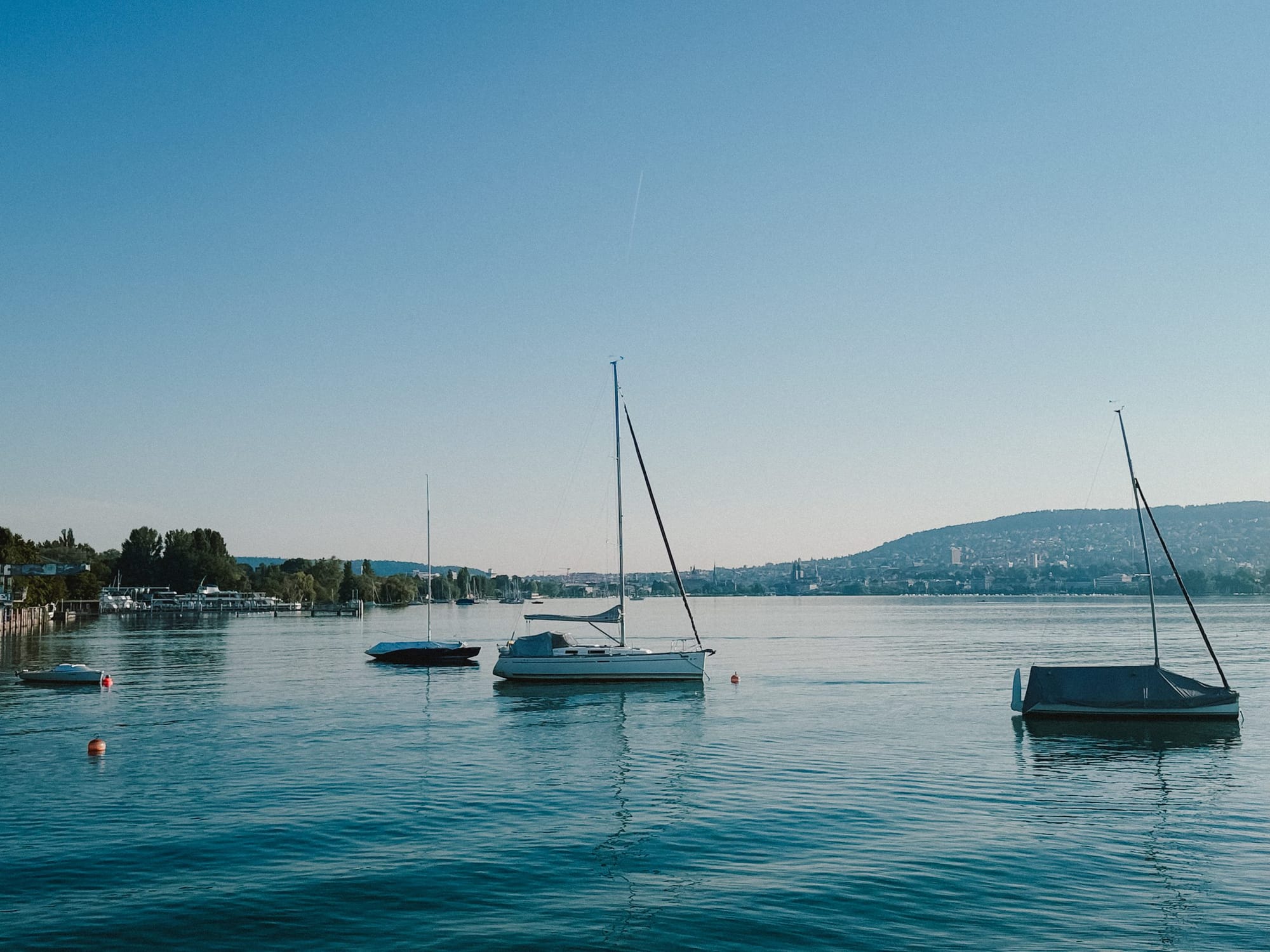 Sailboats on the lake