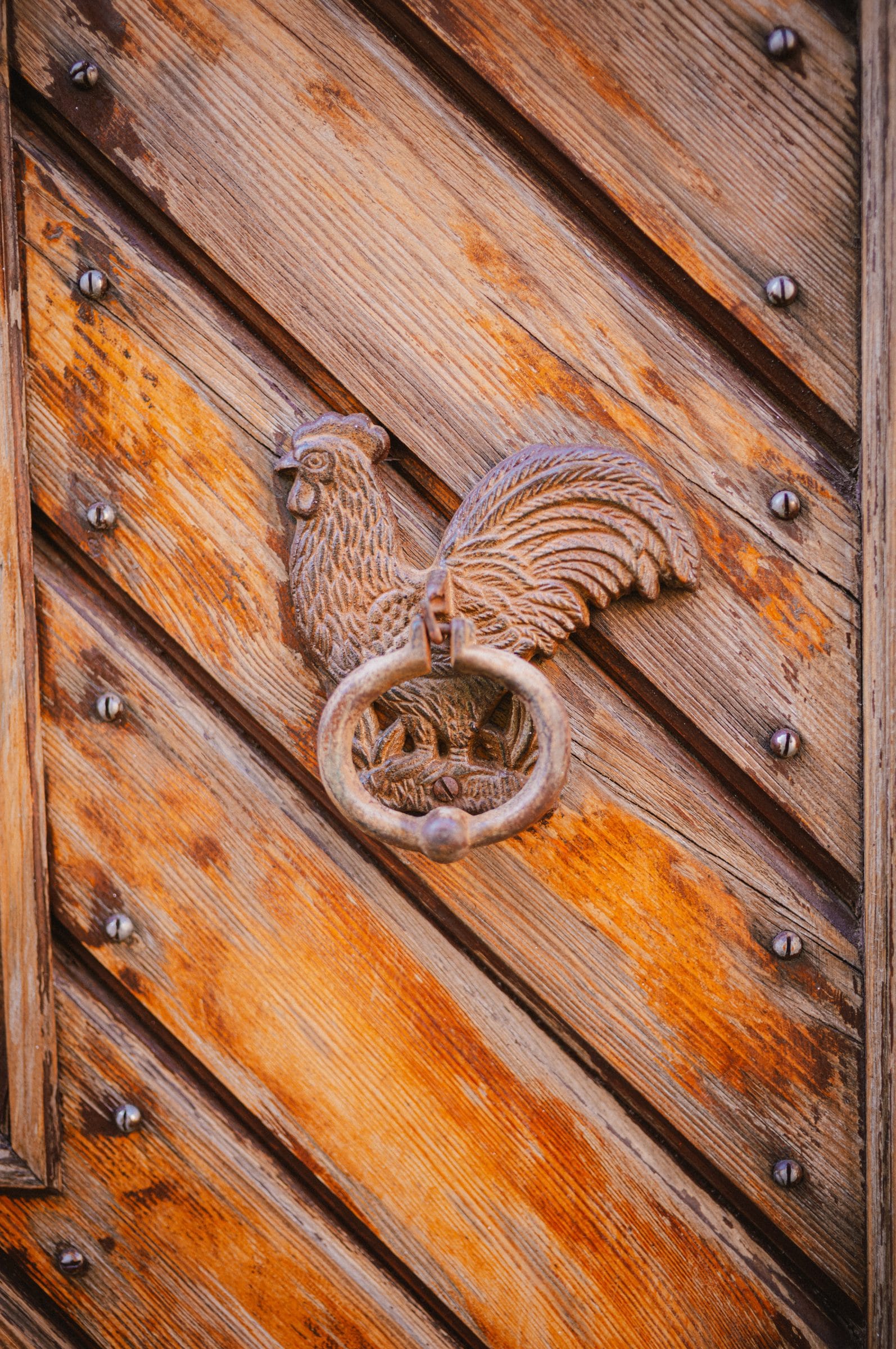 A rooster knocker on a wooden door