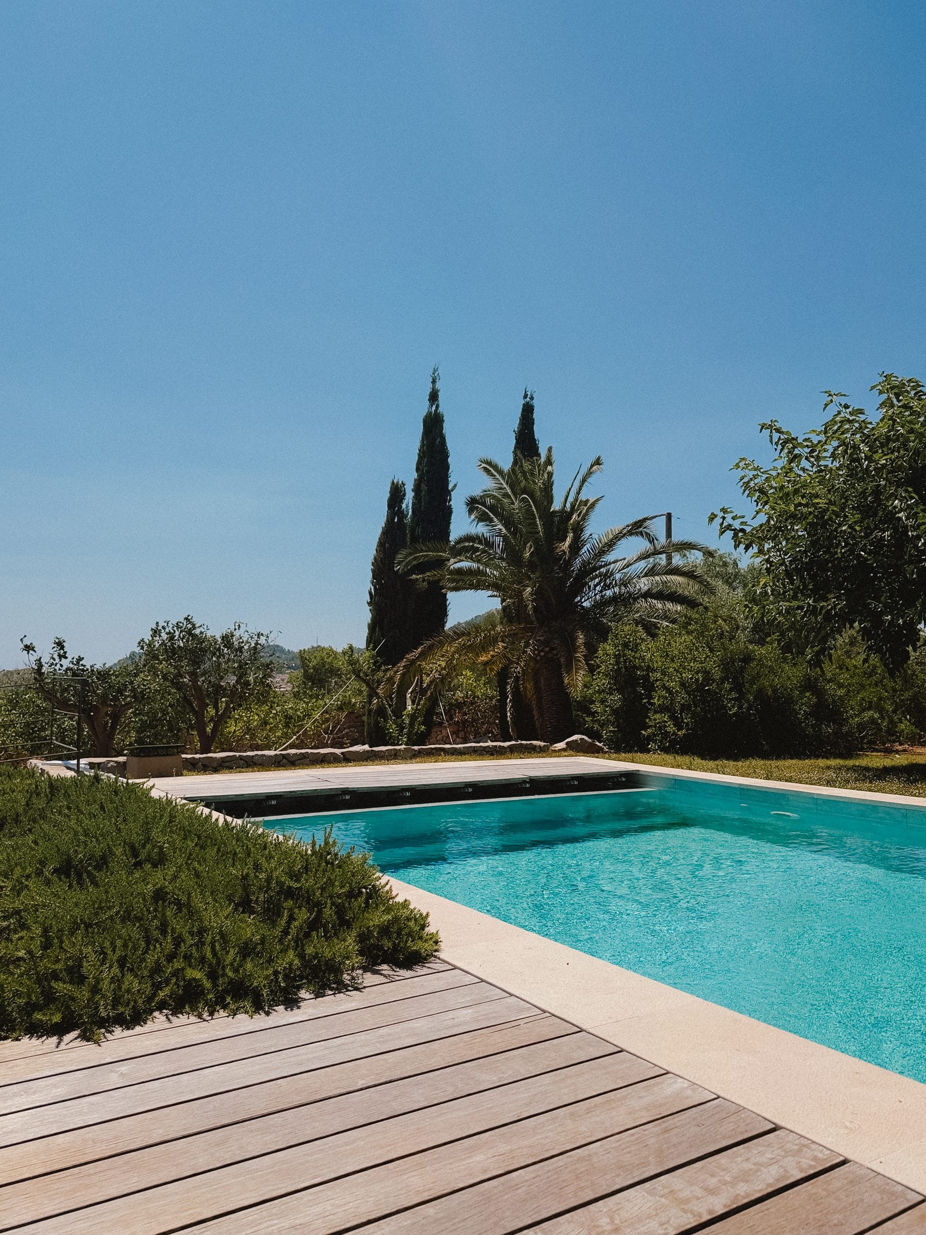 A pool behind lavender
