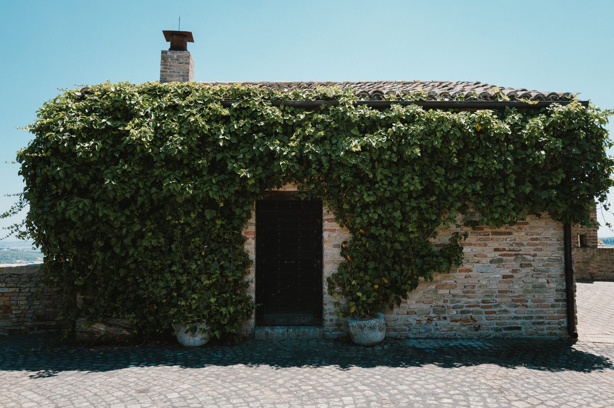 A stone house under ivy