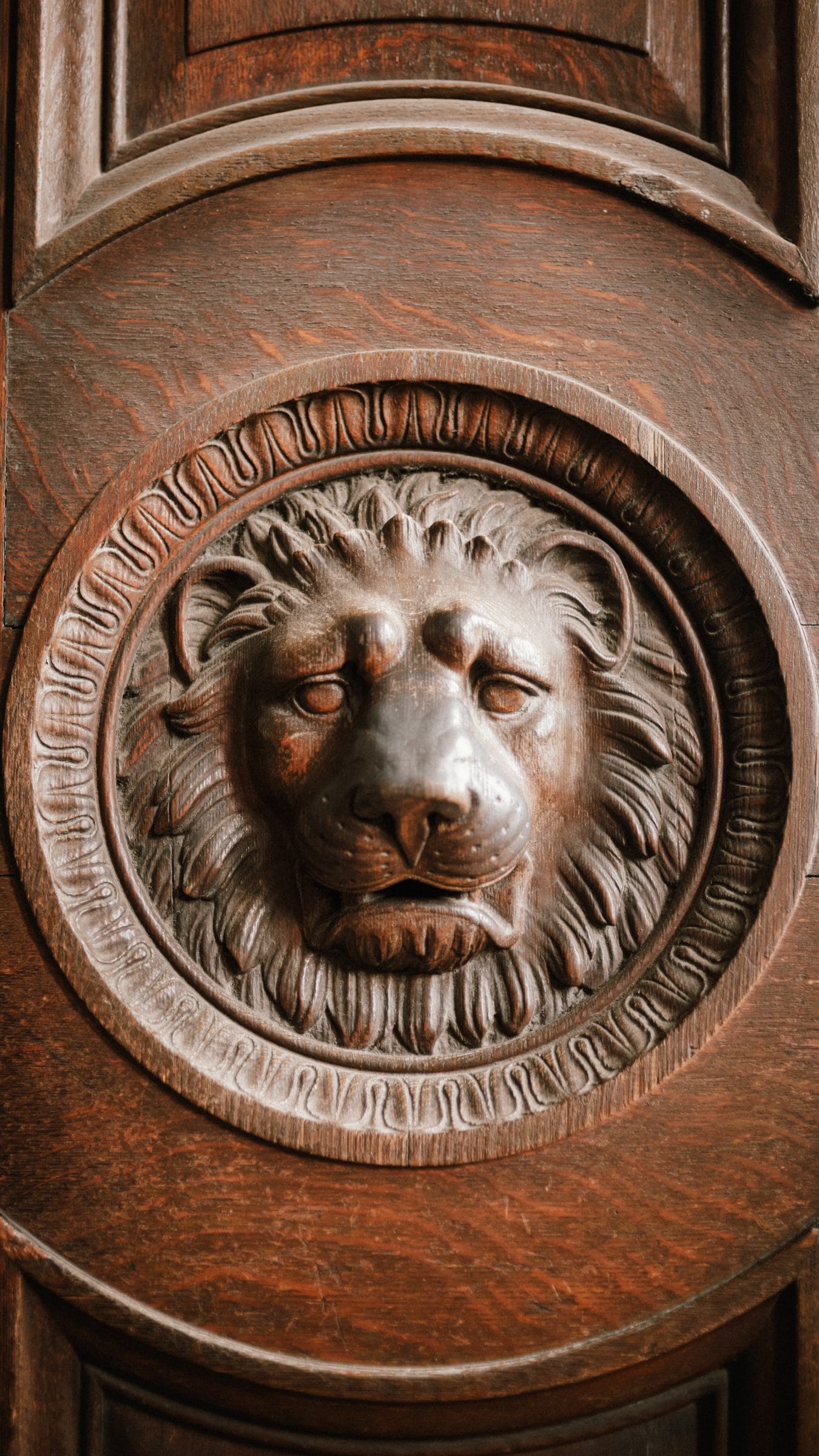 A lion's head carved in a door