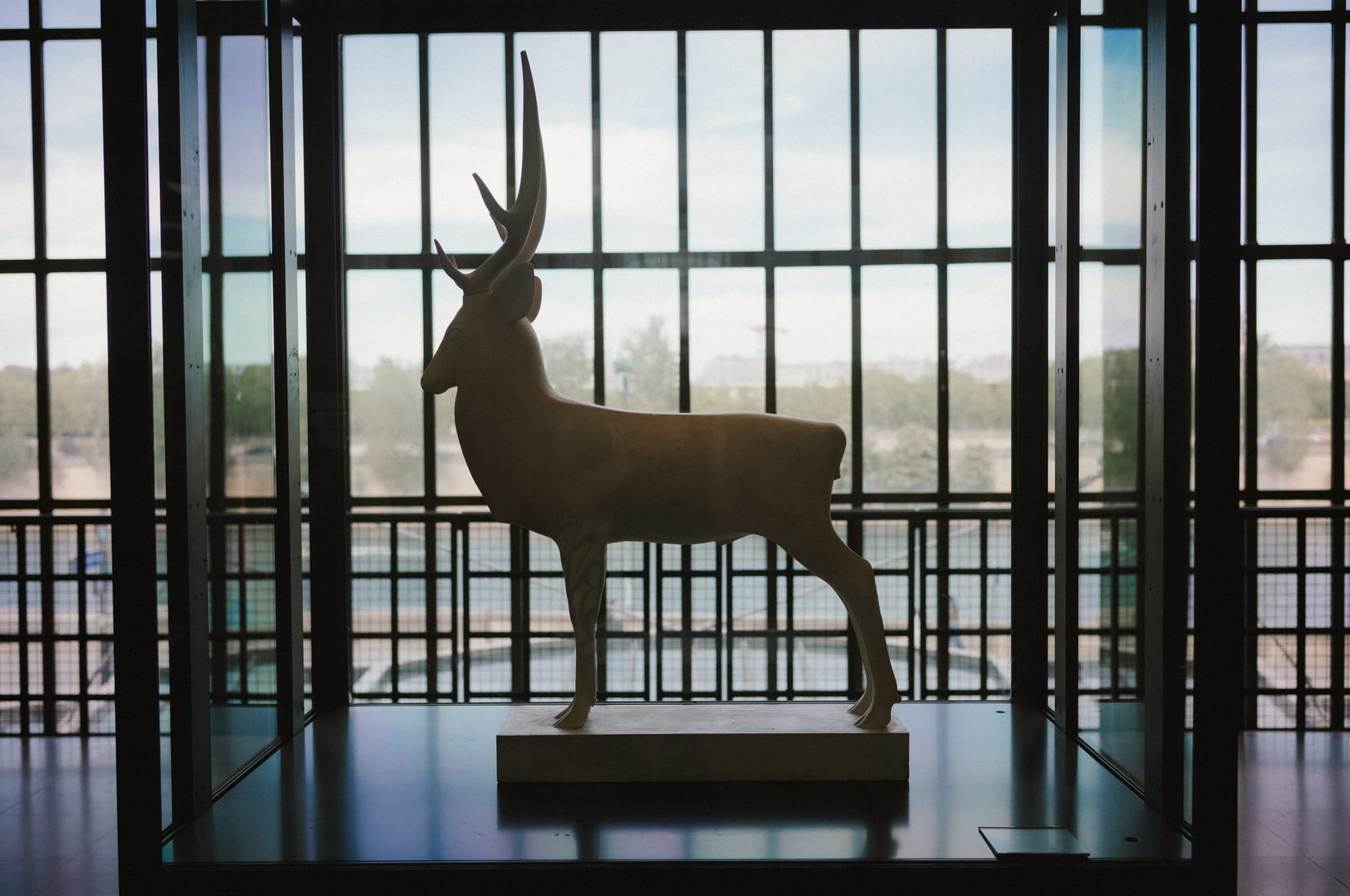 A stag in a window.