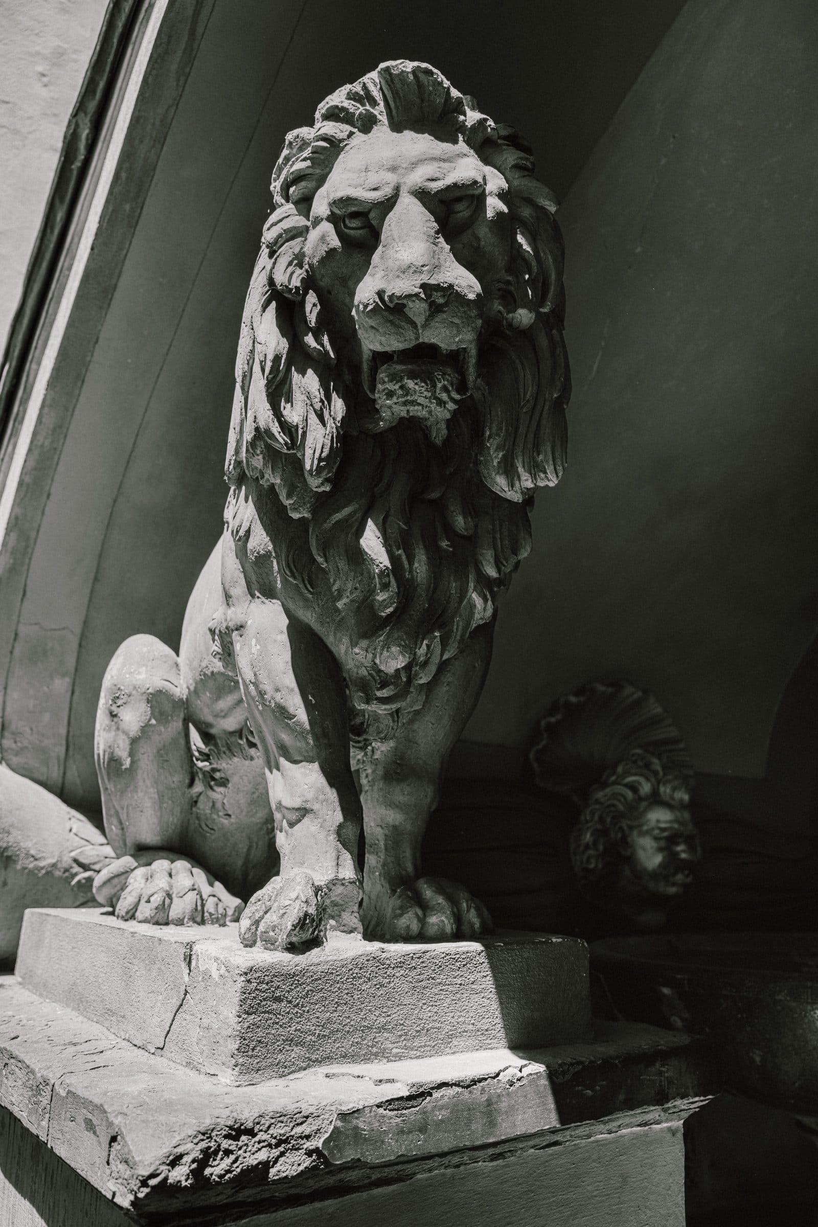 A lion in stone