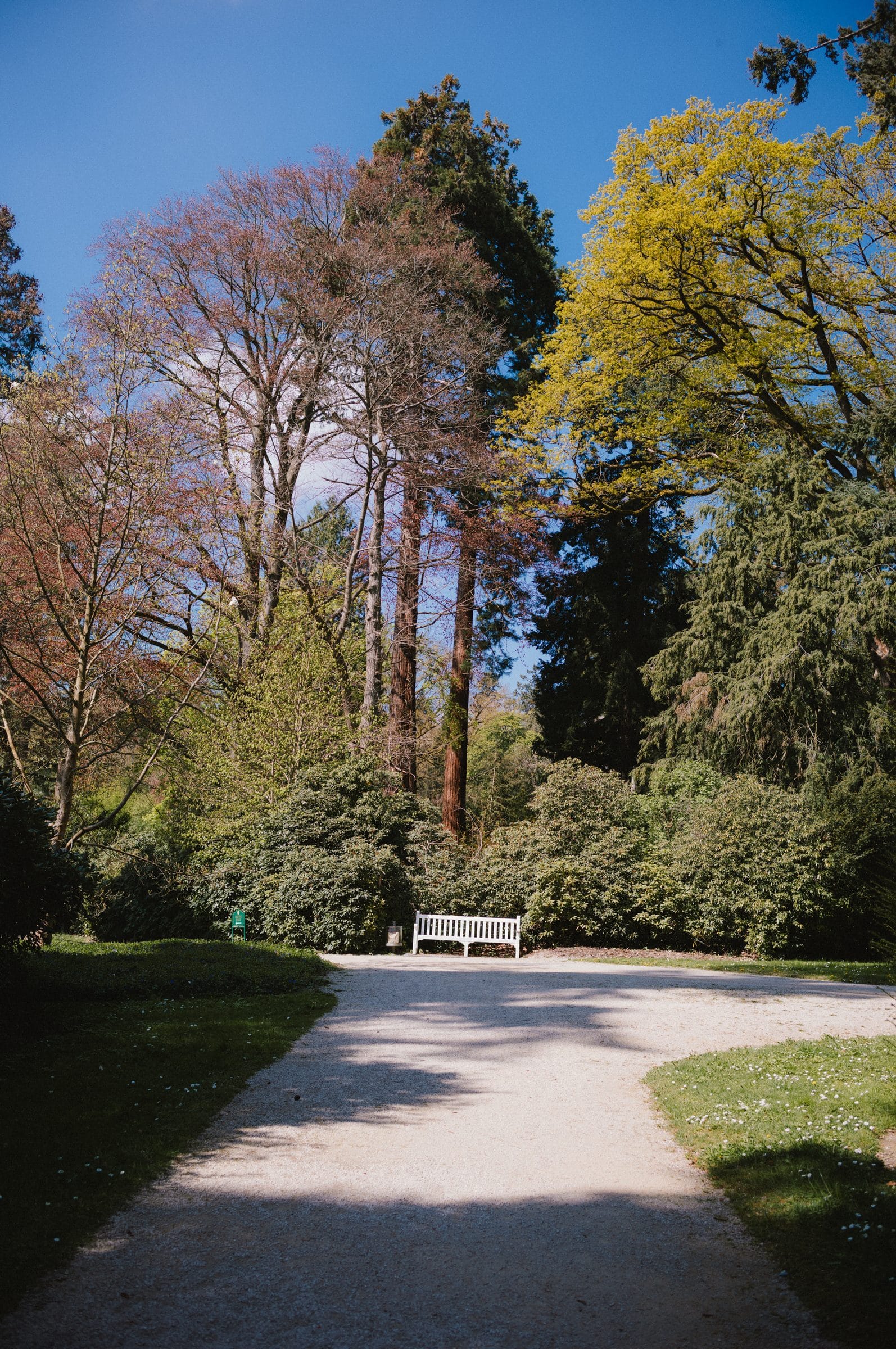 A path through the park