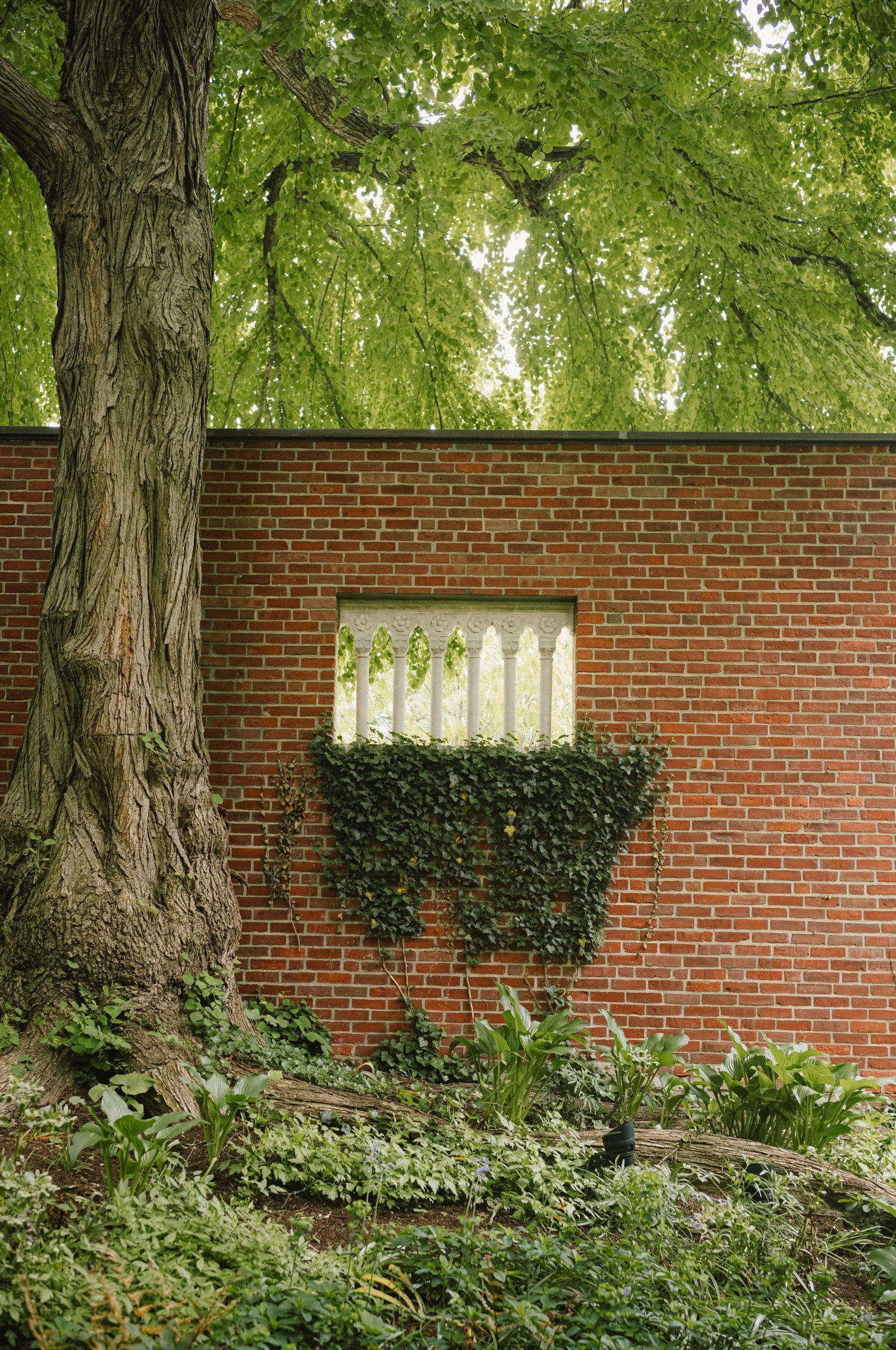 A brick garden wall