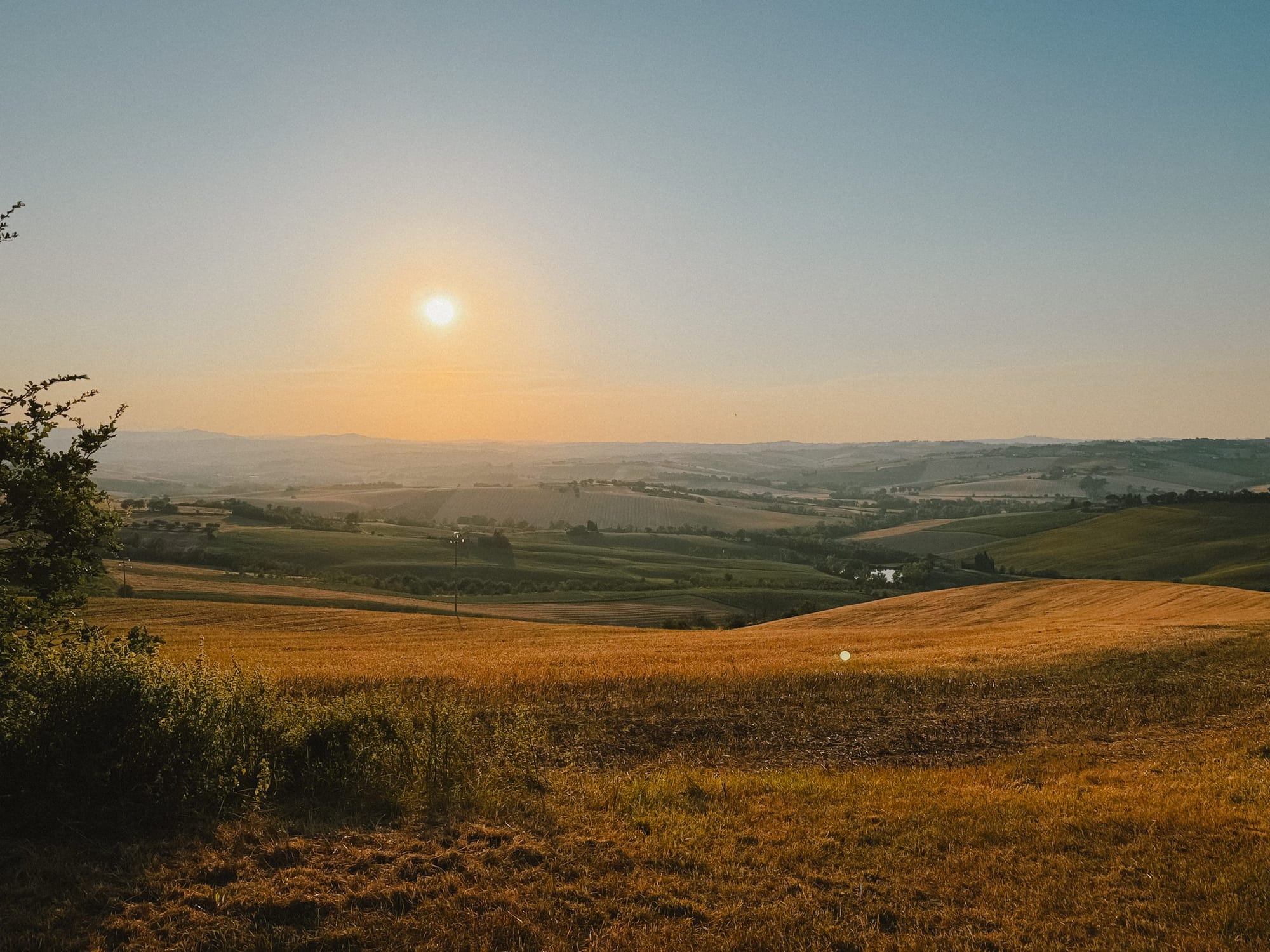 Sunset over the fields