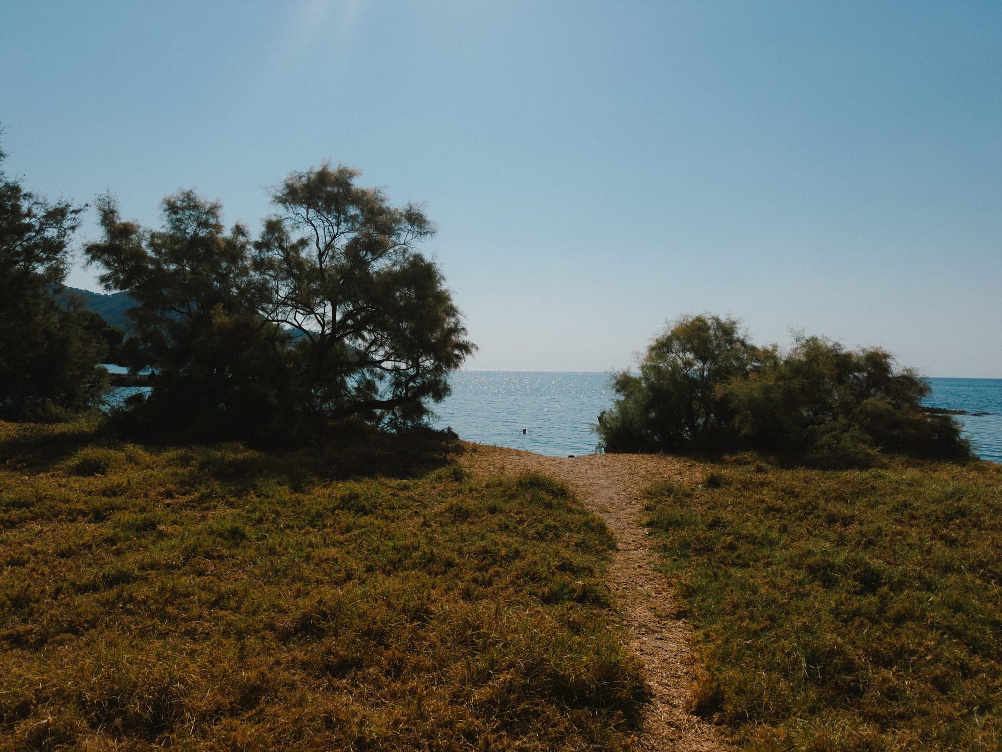 A path to the sea