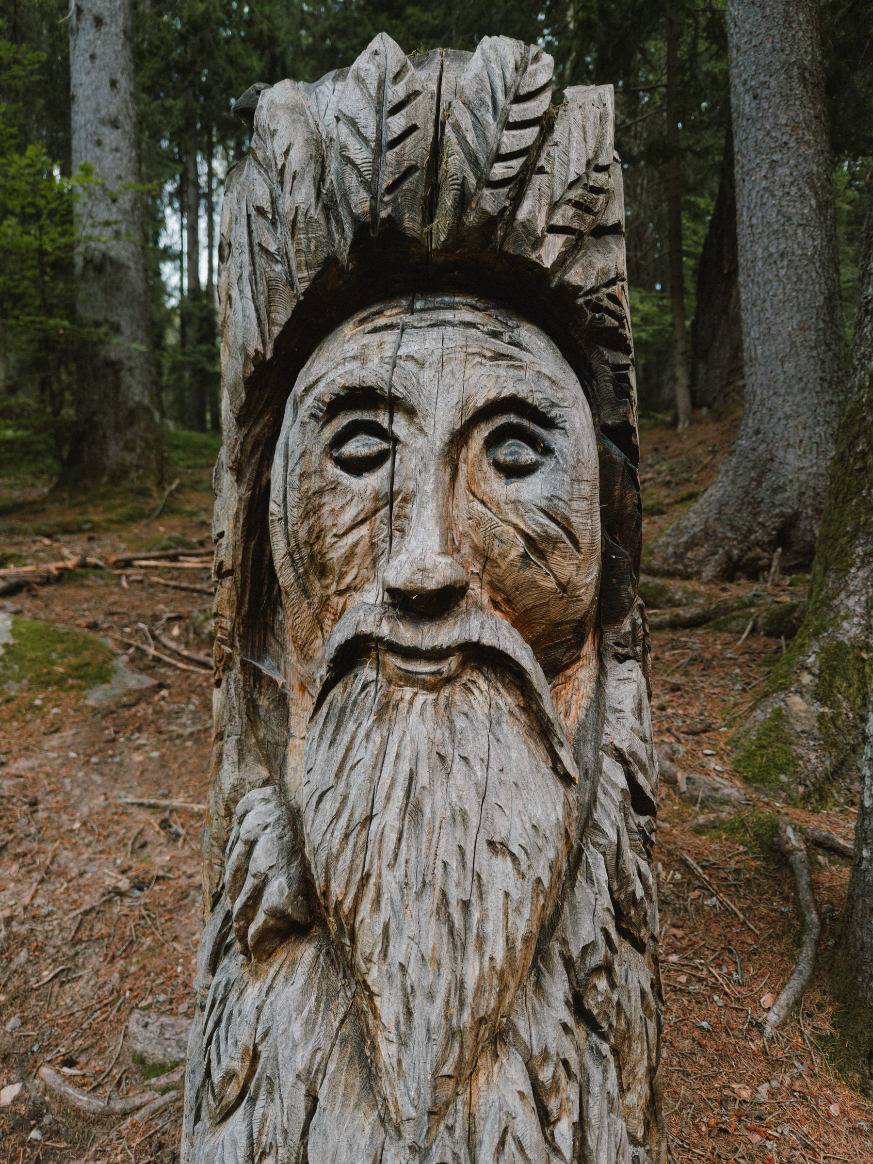 A carved face in a tree stump