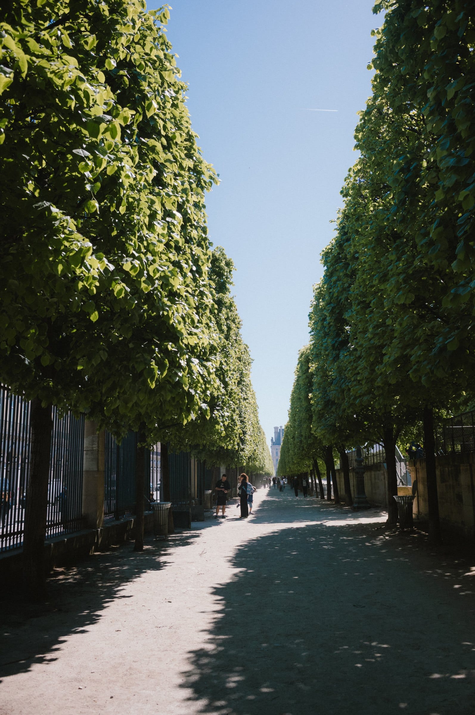 The allée in the Tuileries.