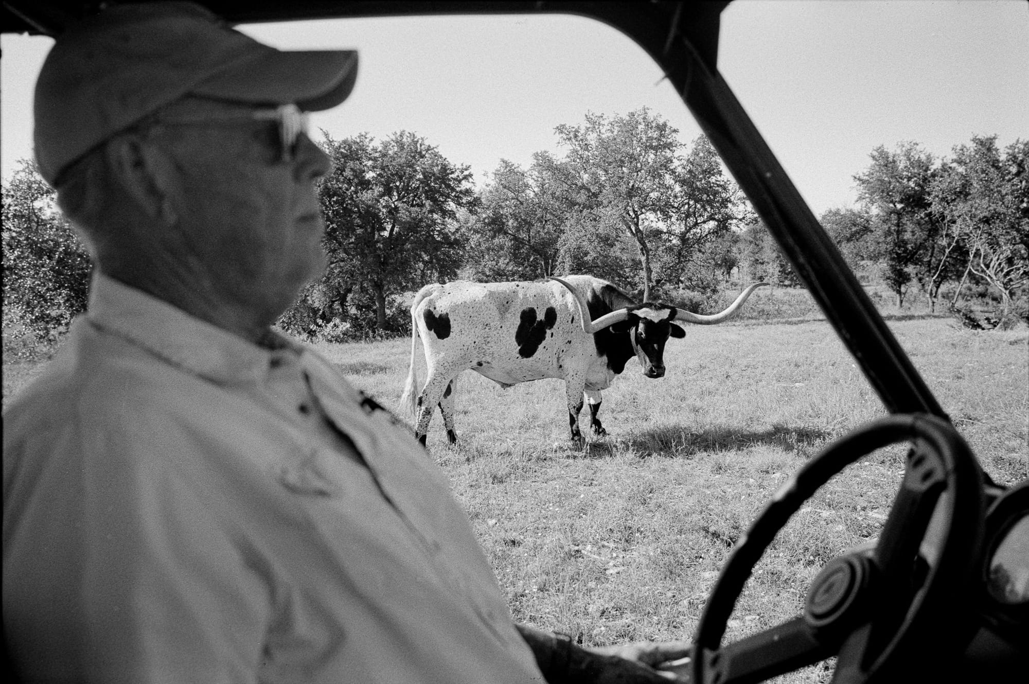 Driving the property, with company in the field.