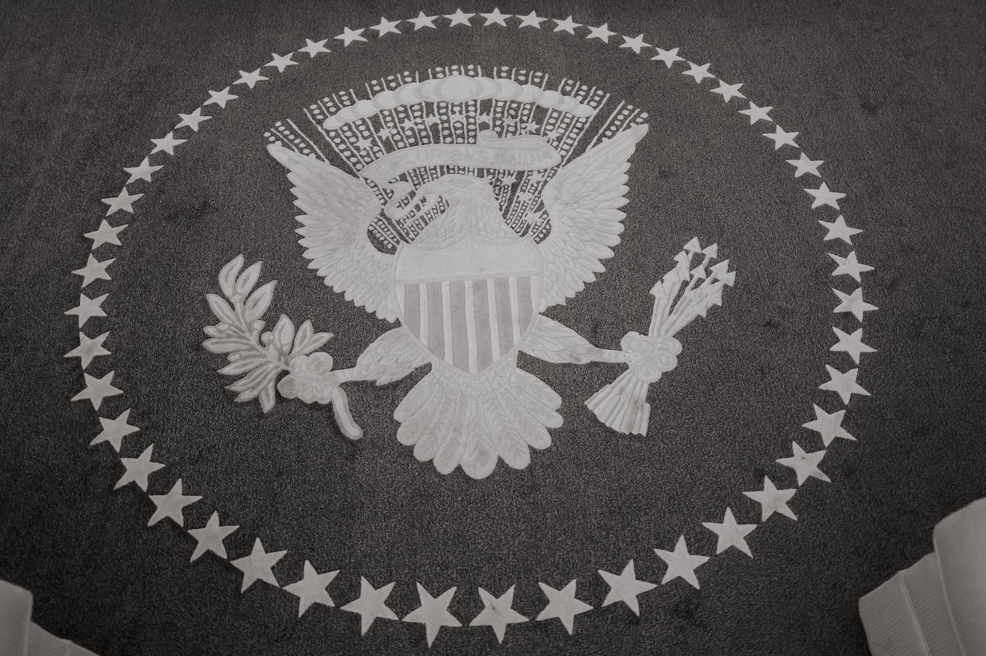 The seal, underfoot.