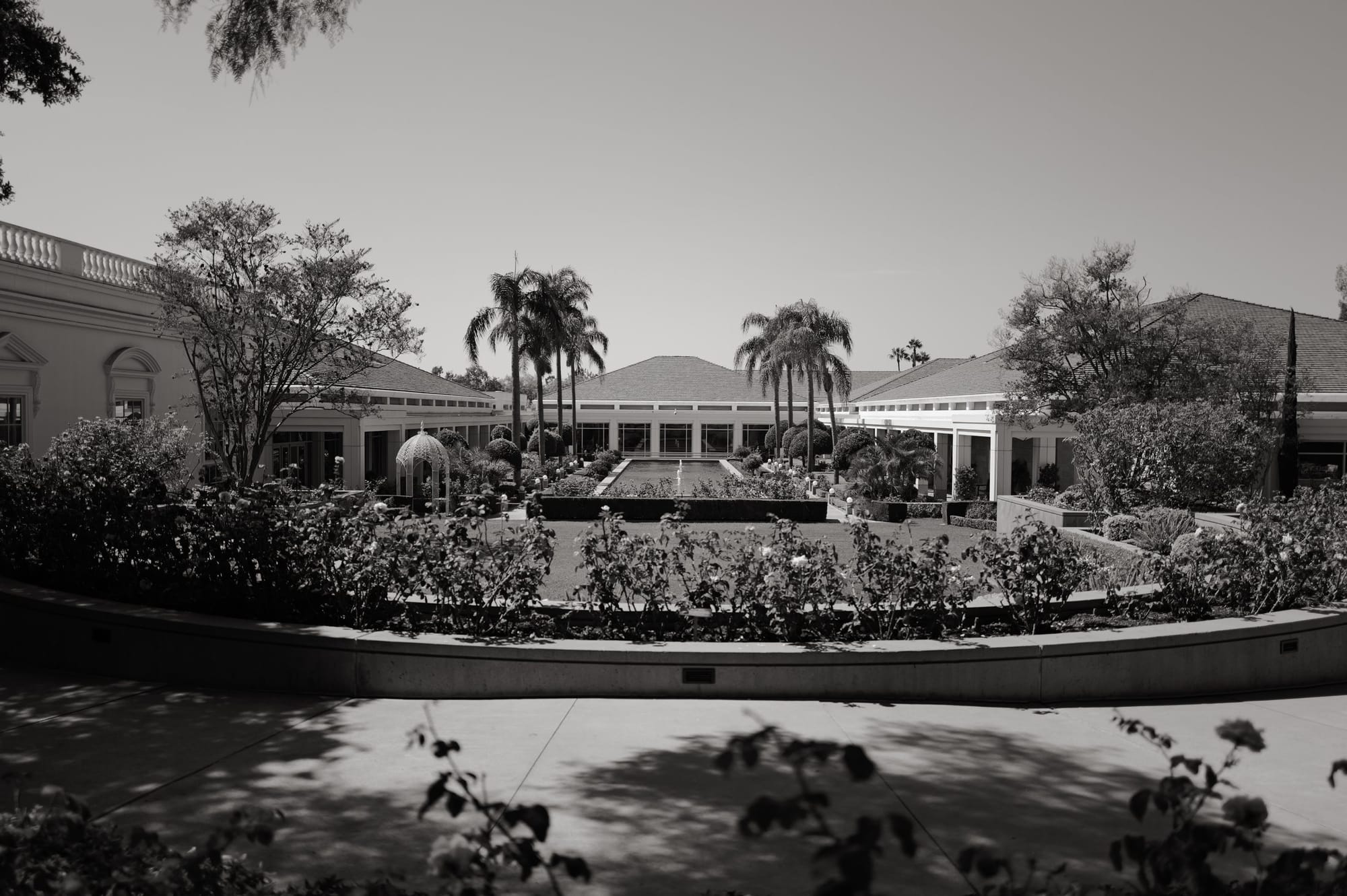 The library across the water.