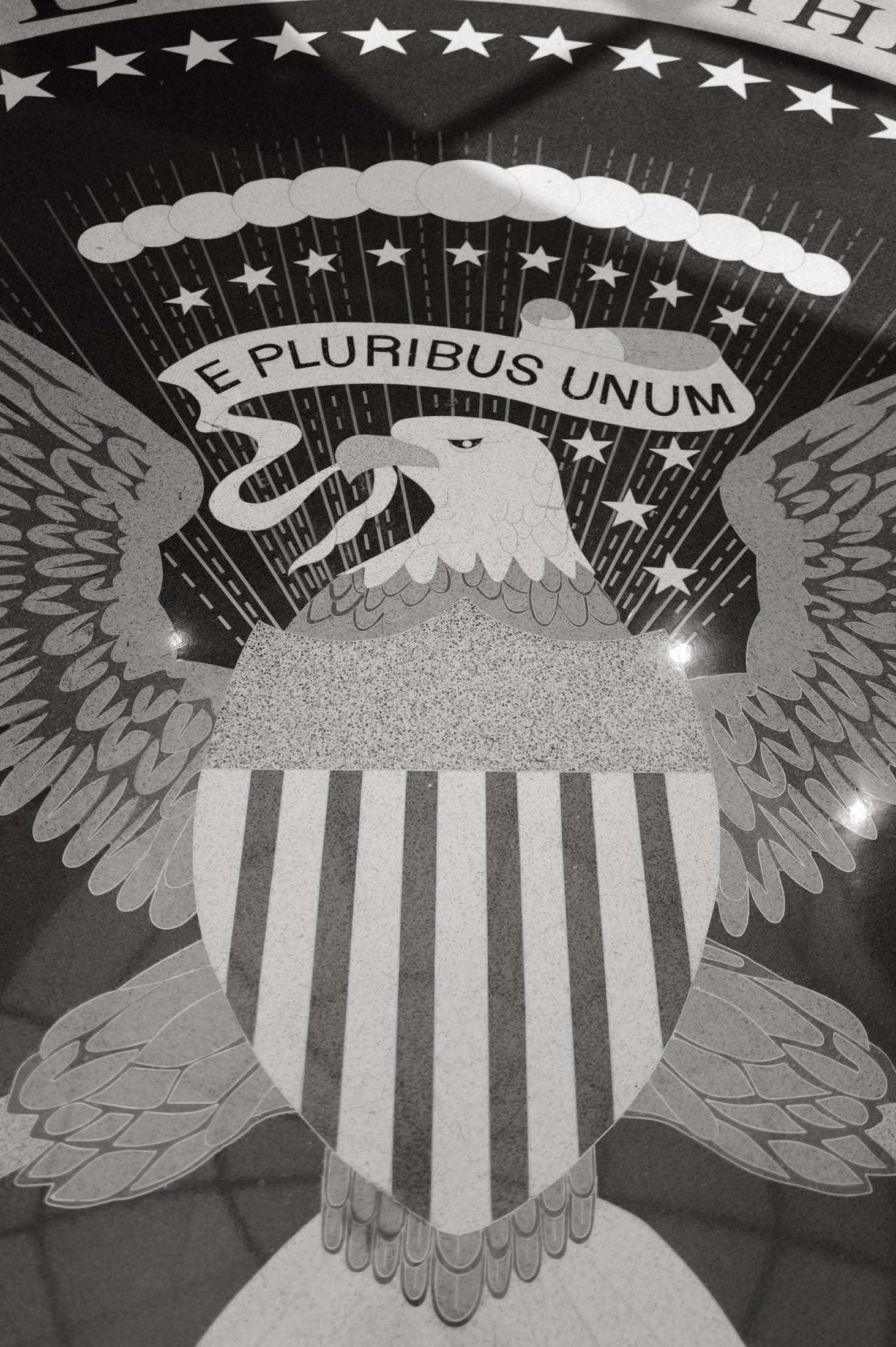 The eagle.