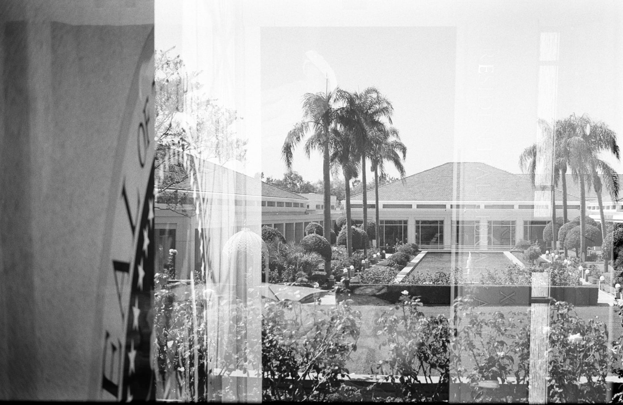 On film: the gardens through the glass.
