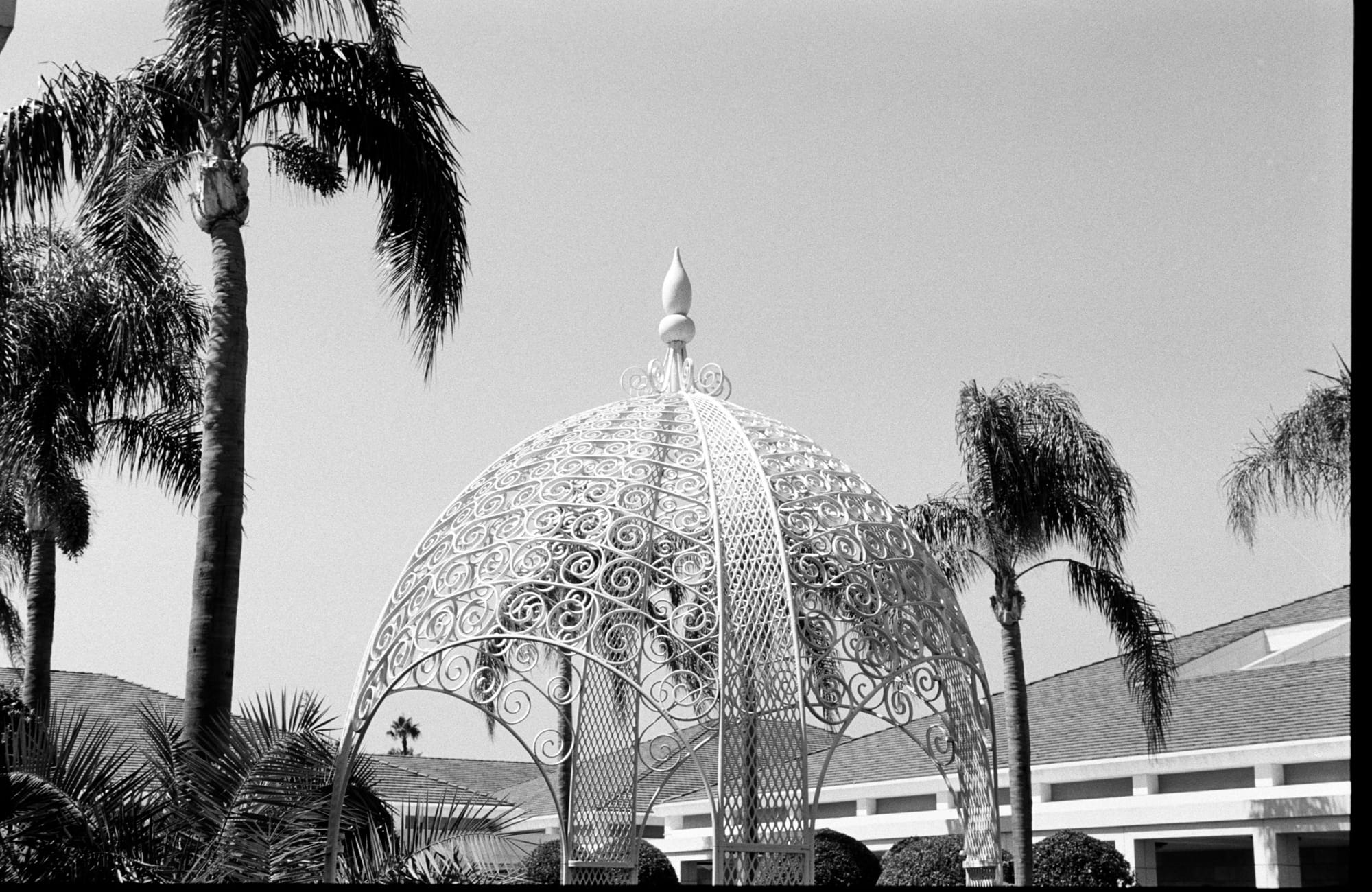 On film: the gazebo and the palms.