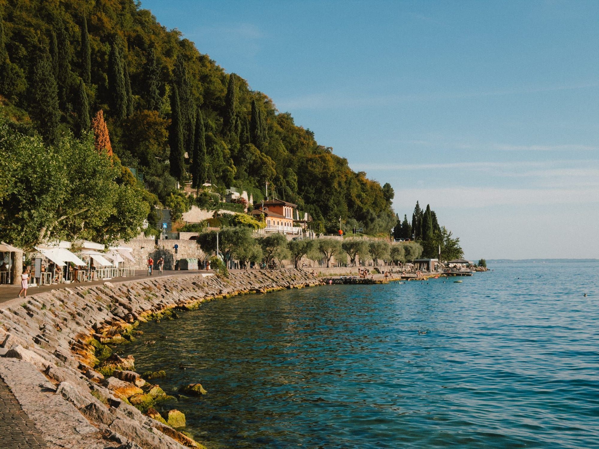 The shoreline under wooded hills