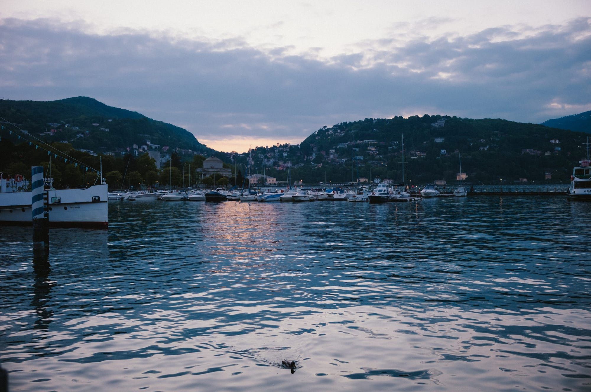 The harbor at dusk