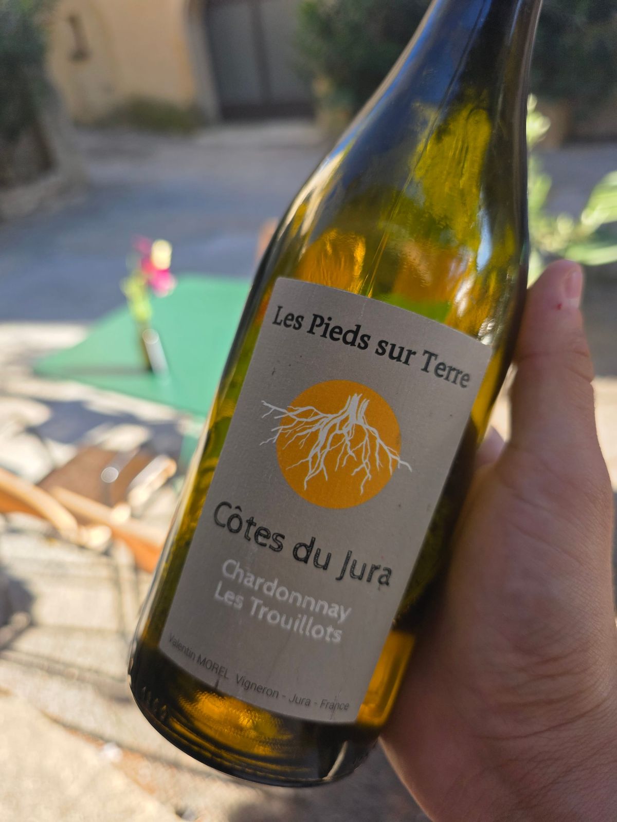Newsletter du 17 mai