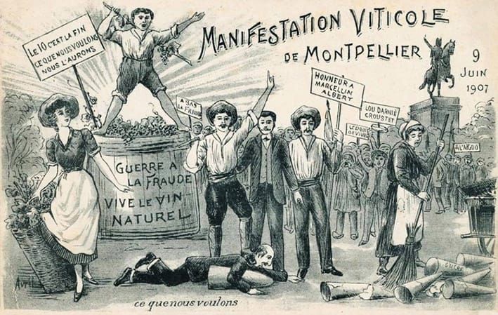 LE VIN NATURE, VOILÀ LA VRAIE TRADITION