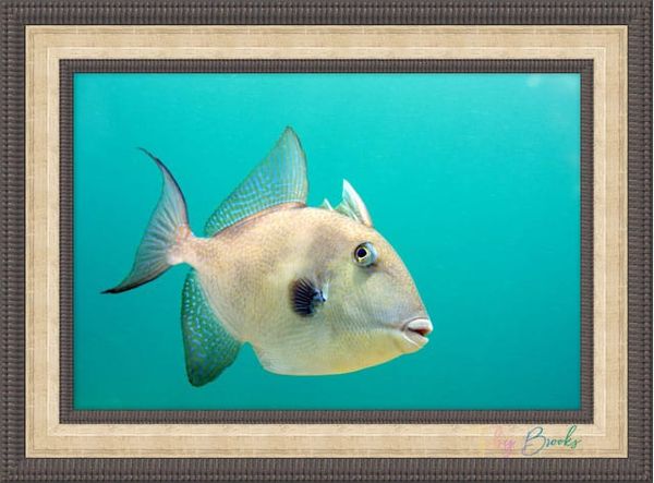 From 0.3 Megapixels to Masterpieces: What 24 Years Behind the Lens Teaches You.