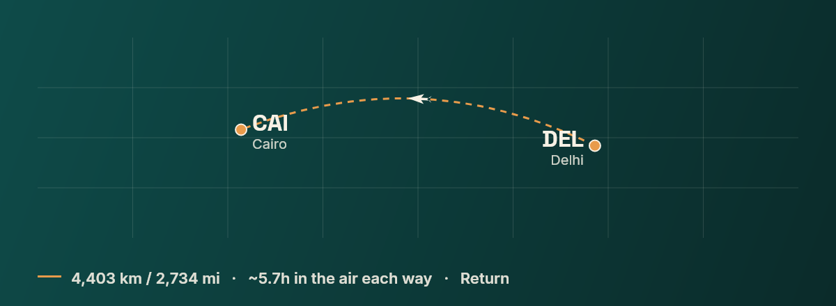 Delhi to Cairo route map