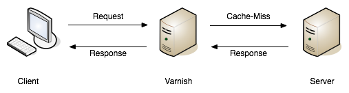 A request being returned early by a varnish server