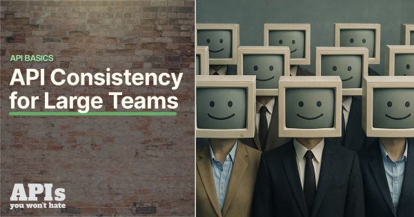 Enforcing API consistency with a large team