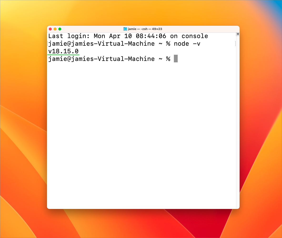Console showing the installed version of node
