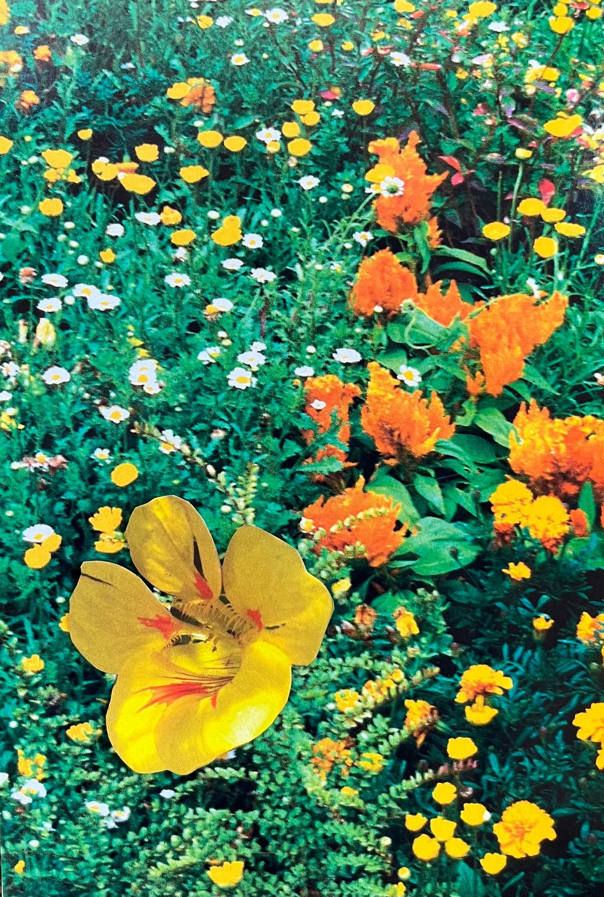 Issue 02: A Letter From the Editors