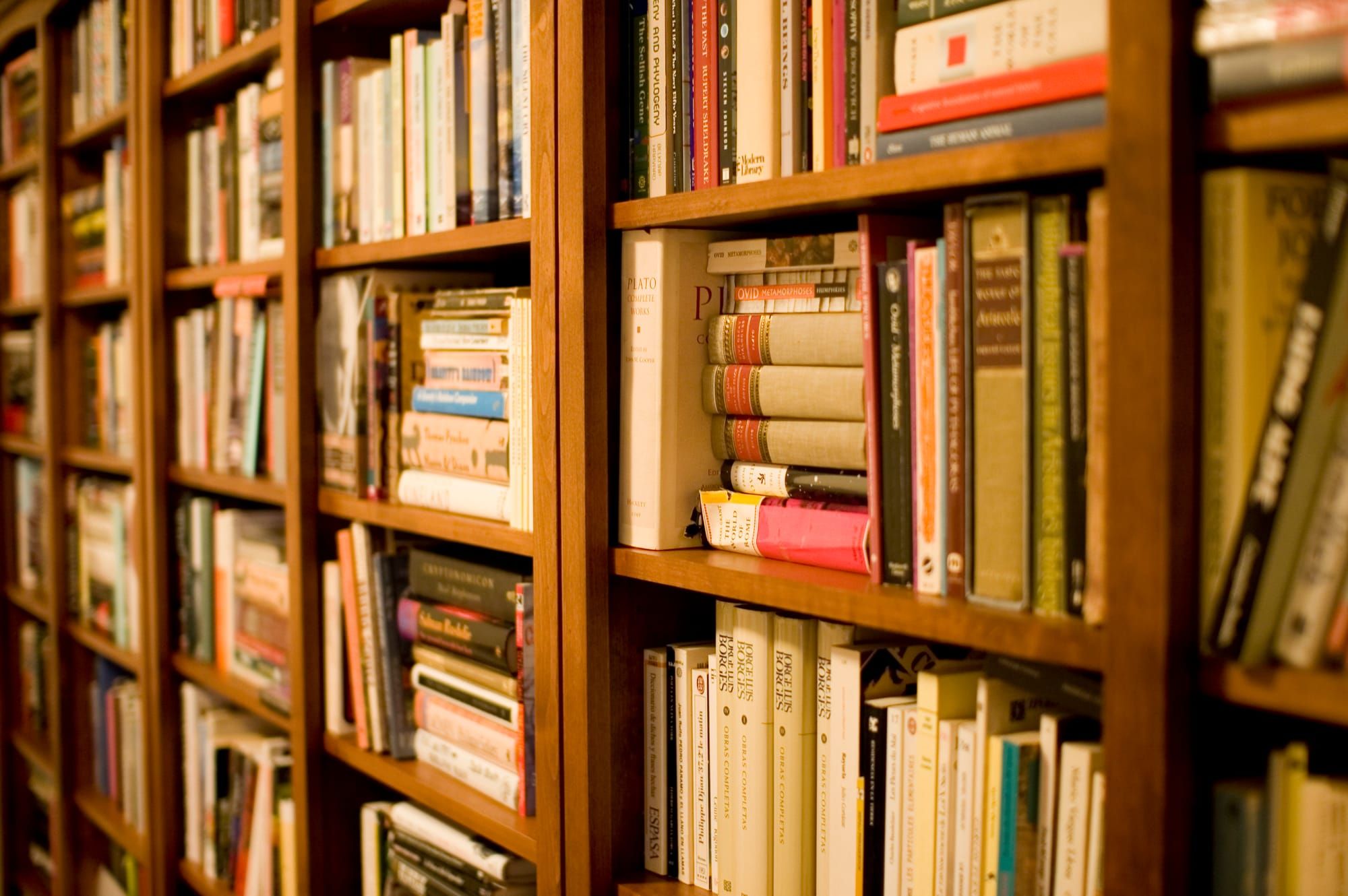 Why I Read