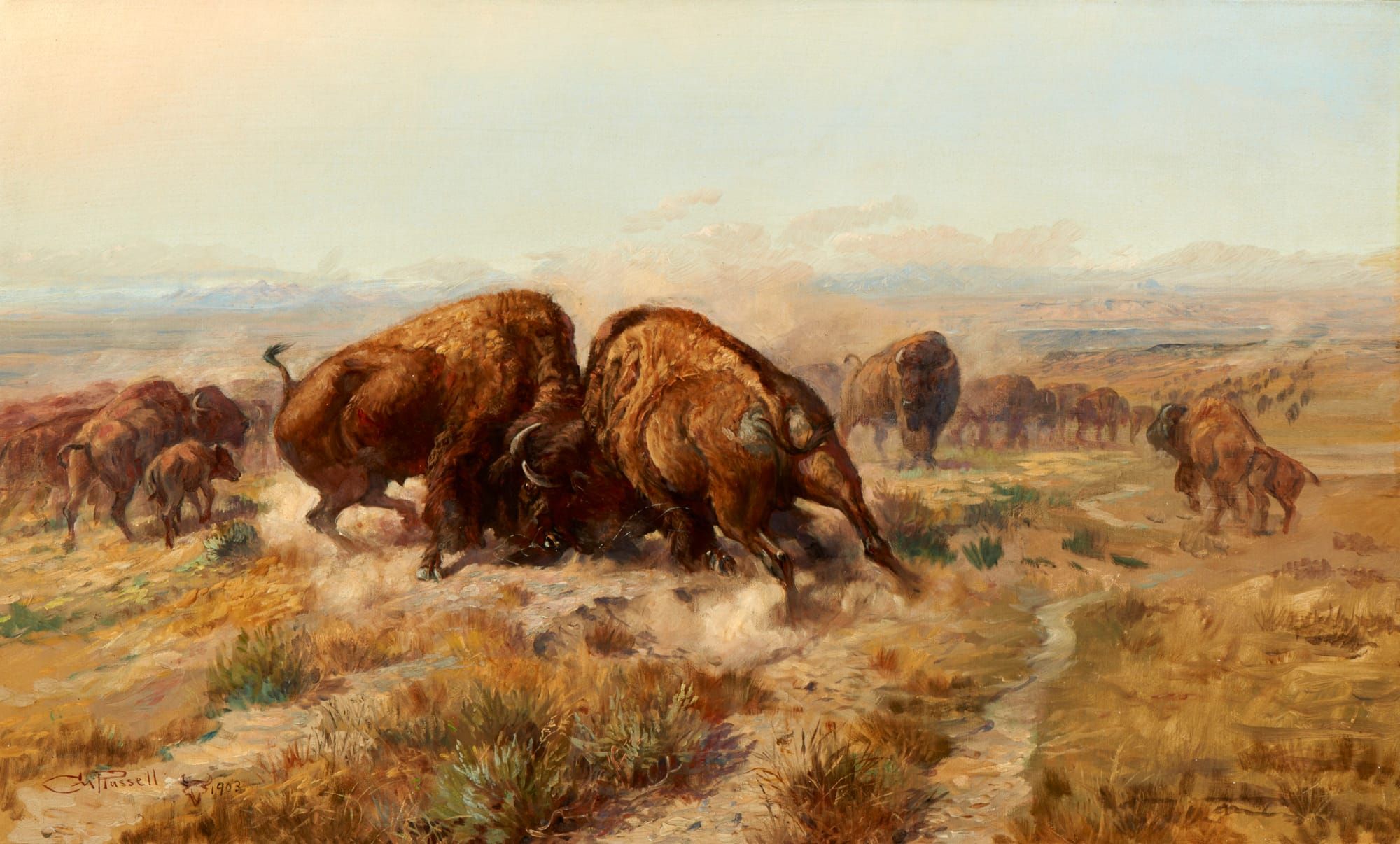 Rewilding at Scale