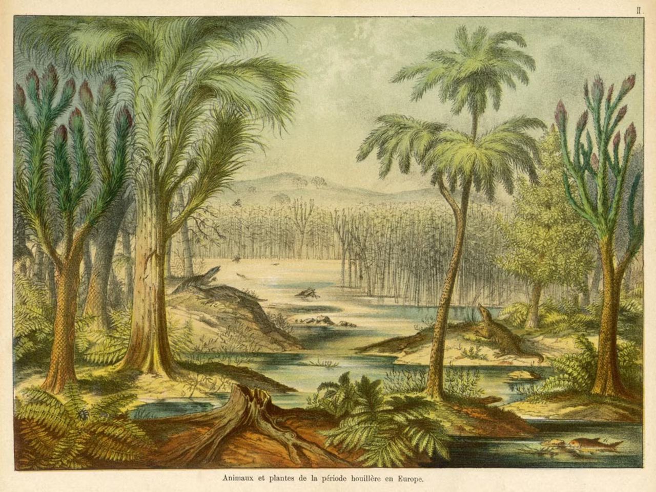 Elias Ayrey on Forests and Social Justice