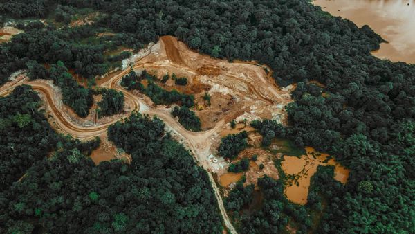 Nature, Climate, or Justice
