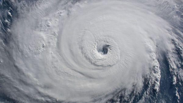 On Plagues and Hurricanes